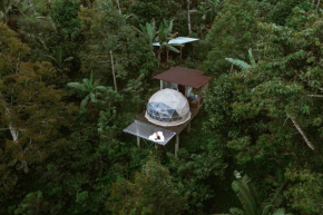 Bali Jungle Camping